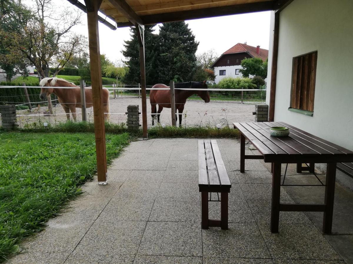 Ferienwohnung Schmied 1 Aurach am Hongar Екстер'єр фото